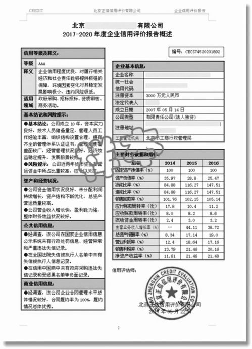 企業(yè)信用報(bào)告與社會(huì)經(jīng)濟(jì)咨詢 賦能招投標(biāo)與企業(yè)發(fā)展的關(guān)鍵
