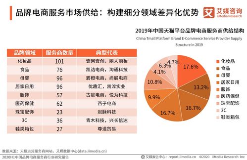 2020上半年中國品牌電商服務商行業(yè)研究報告 社會經濟咨詢服務的戰(zhàn)略價值與市場洞察